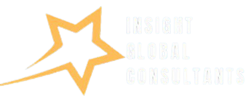Insight Global Consultant